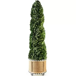MacKenzie-Childs Basket Weave Spiral Large Boxwood Topiary< Spring|Greenery & Florals