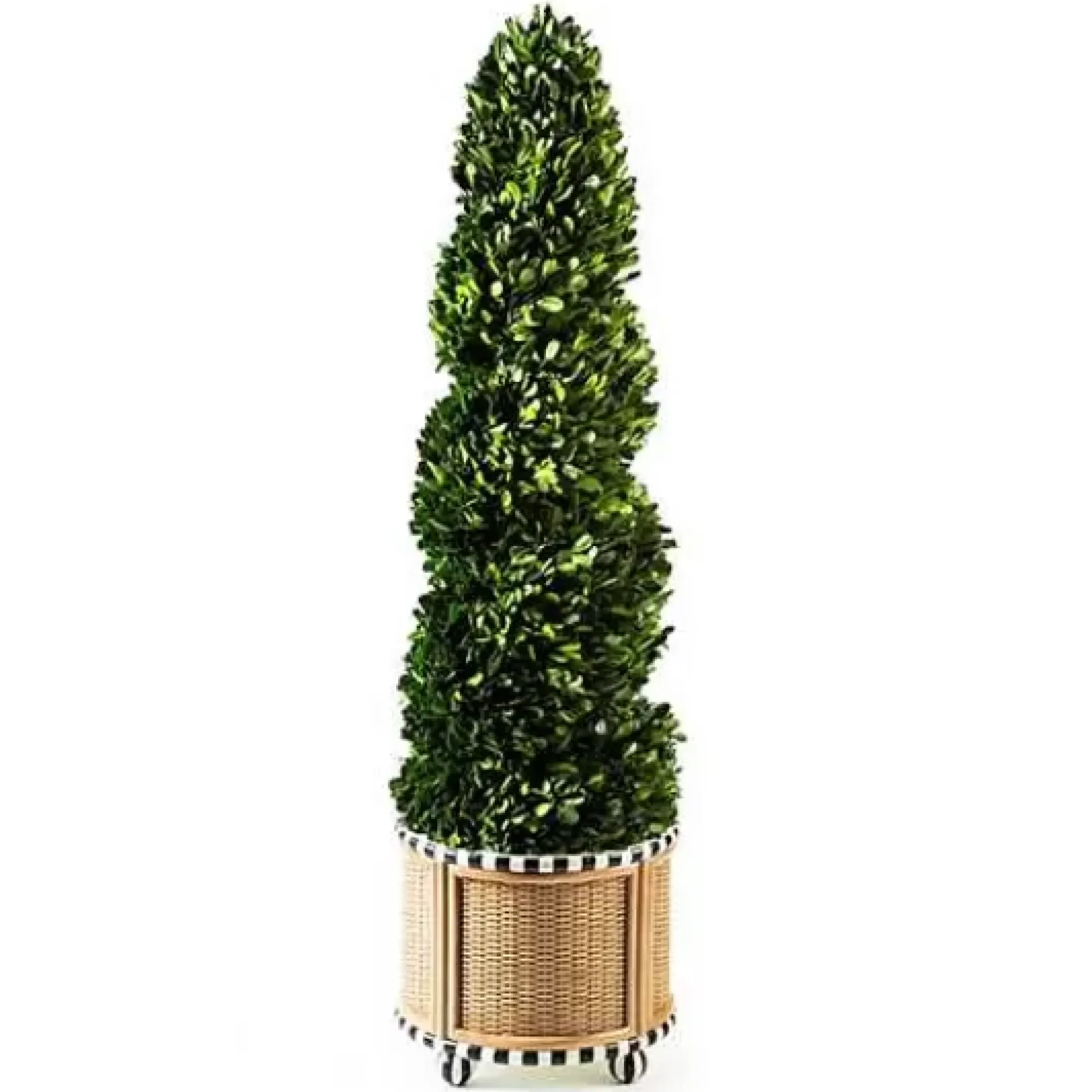 MacKenzie-Childs Basket Weave Spiral Medium Boxwood Topiary< Spring|Greenery & Florals