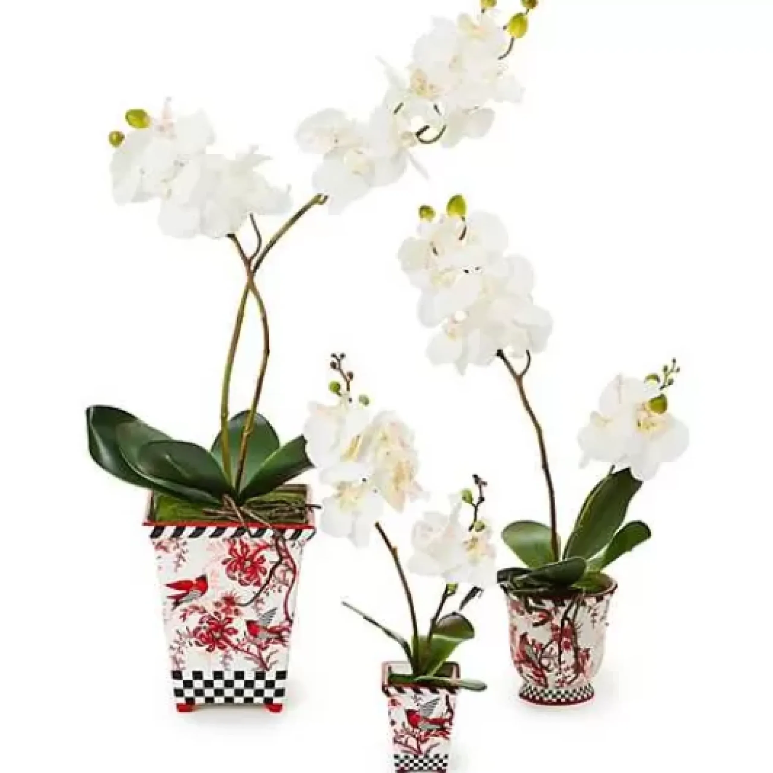 MacKenzie-Childs Cardinal Toile Large Orchid< Holiday|Greenery & Florals
