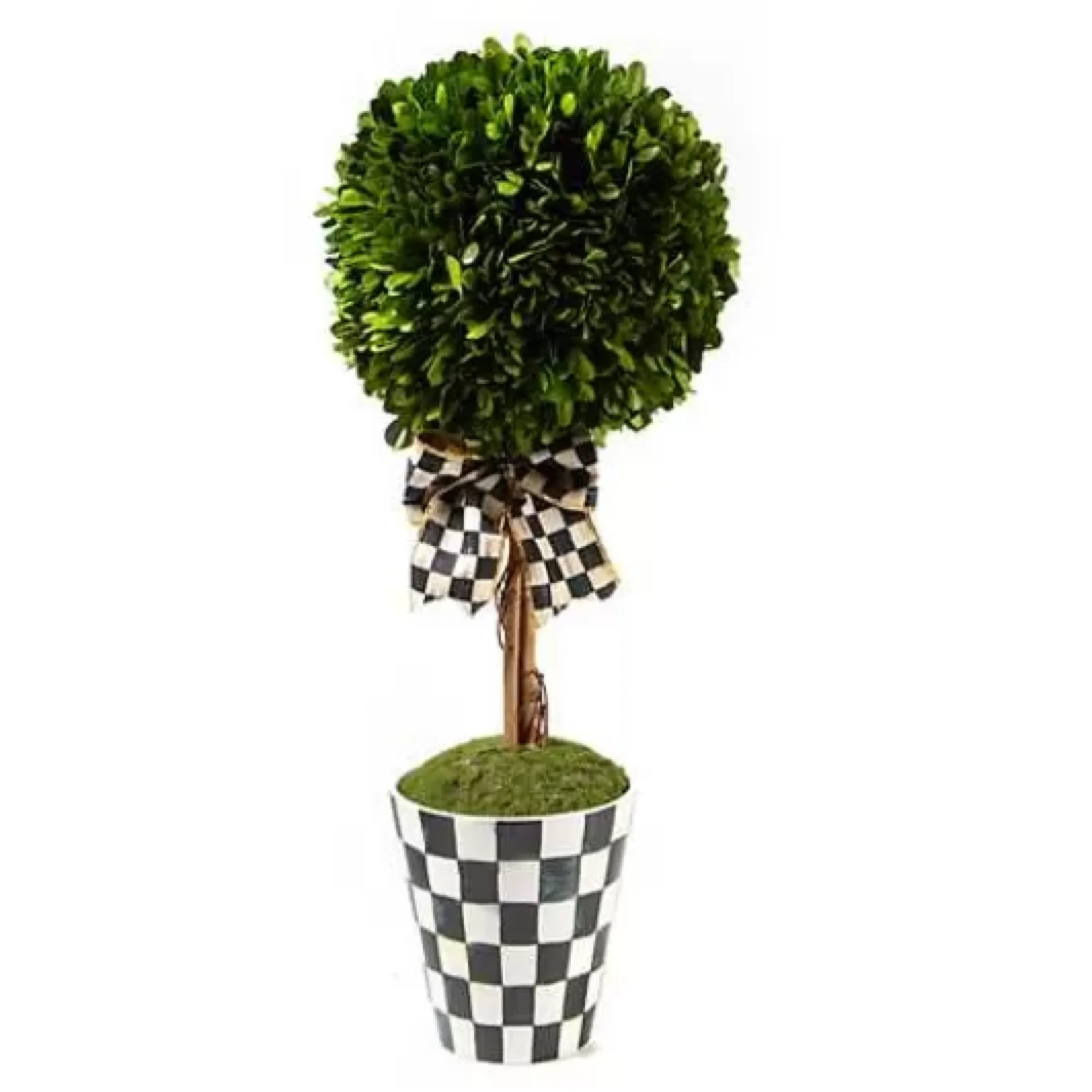 MacKenzie-Childs Courtly Boxwood Topiary Large Drop In< Spring|Greenery & Florals