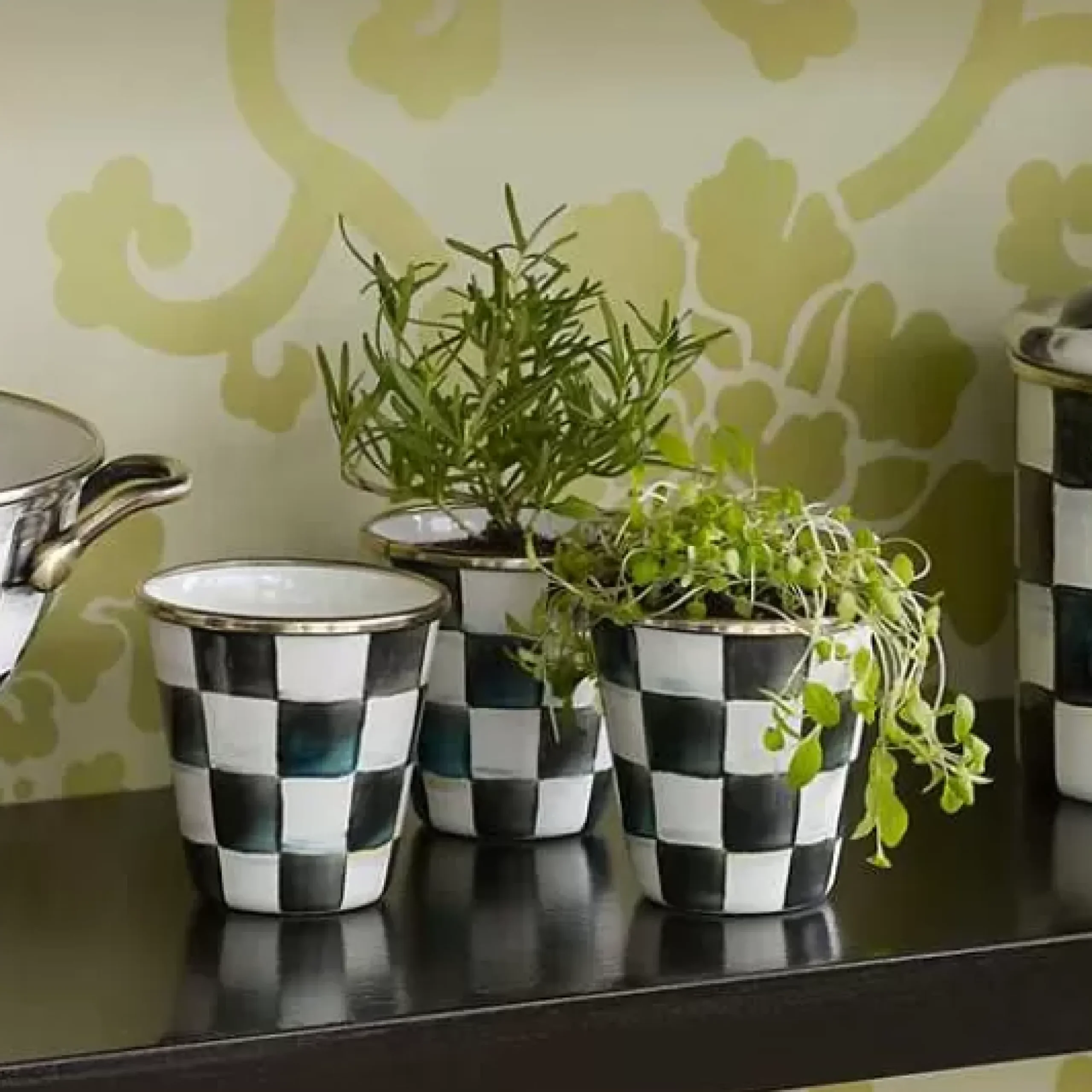 MacKenzie-Childs Courtly Check Herb Pots, Set of 3< Spring|The Fall Shop