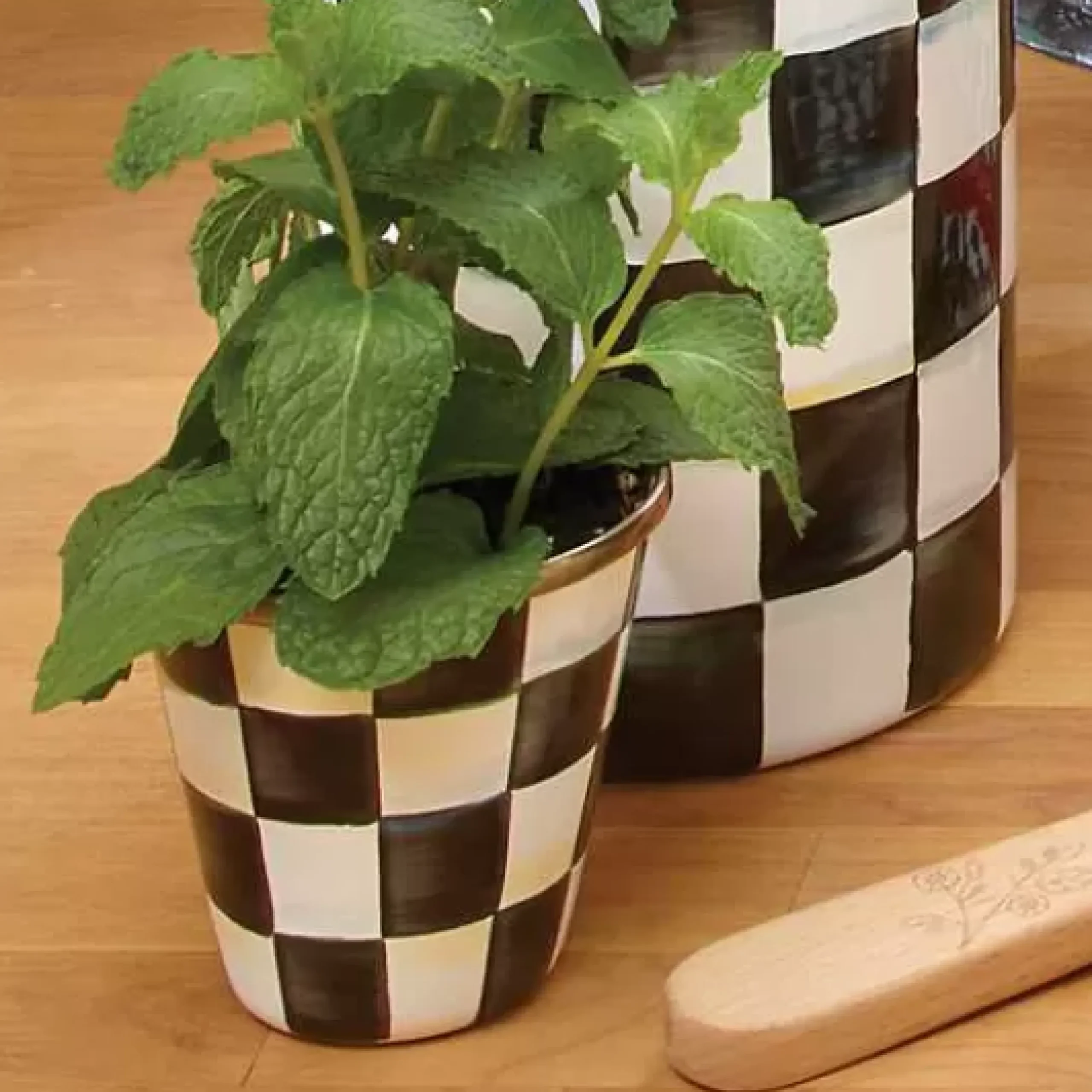 MacKenzie-Childs Courtly Check Herb Pots, Set of 3< Spring|The Fall Shop