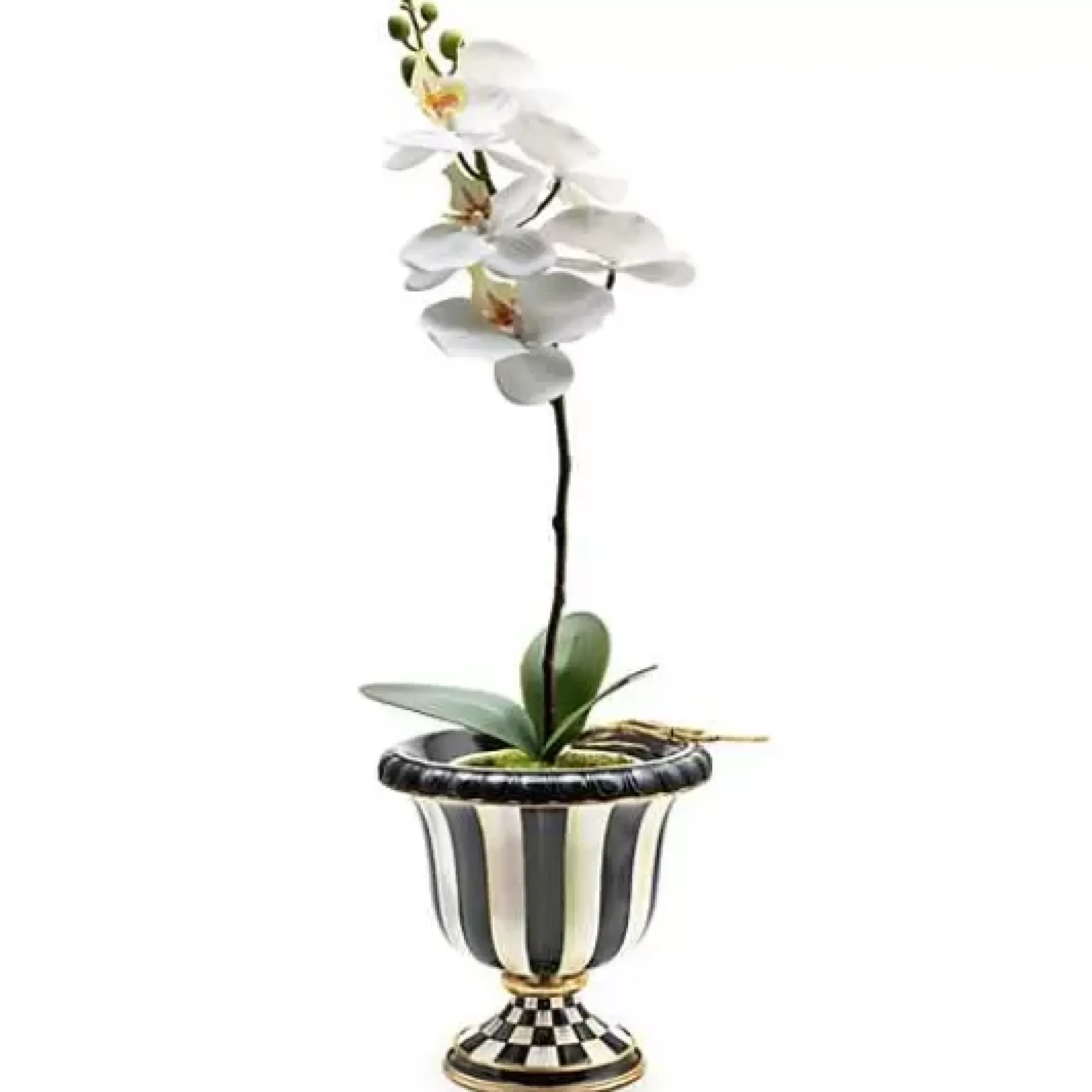 MacKenzie-Childs Courtly Check Orchid Drop In< Greenery & Florals