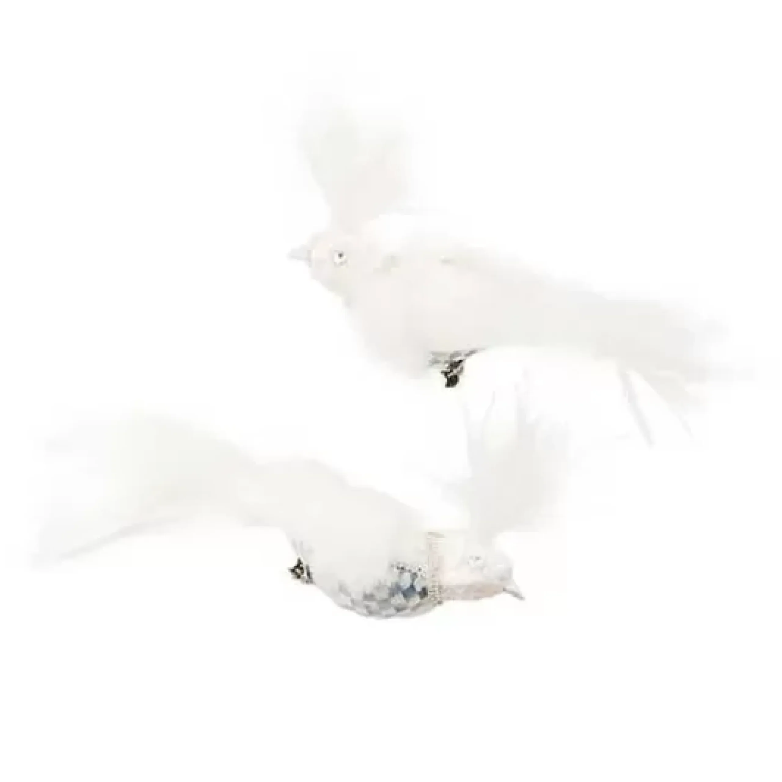 MacKenzie-Childs Crystal Palace Bird Clips, Set of 2< Finishing Touches