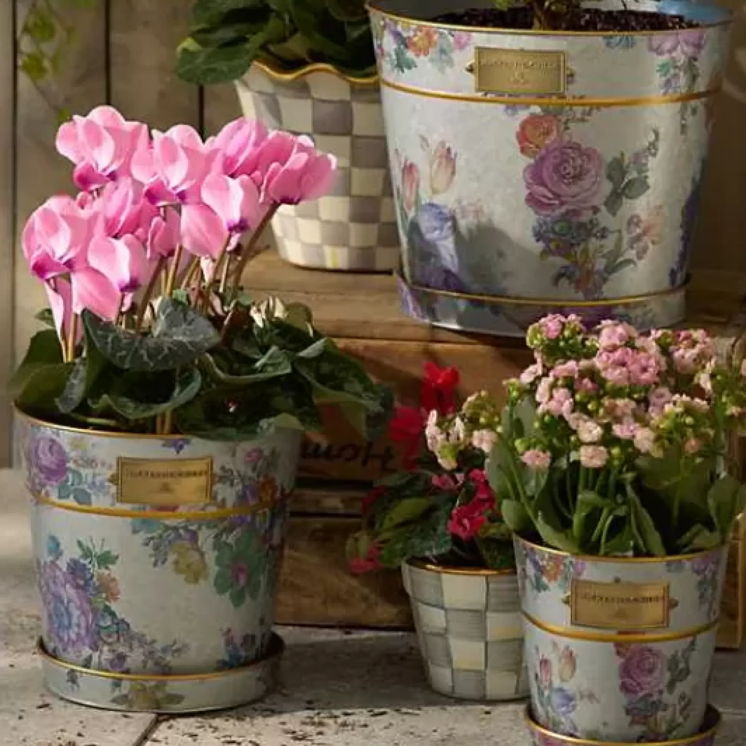 MacKenzie-Childs Flower Market Pots Saucers, Set of 3< Spring|Greenery & Florals