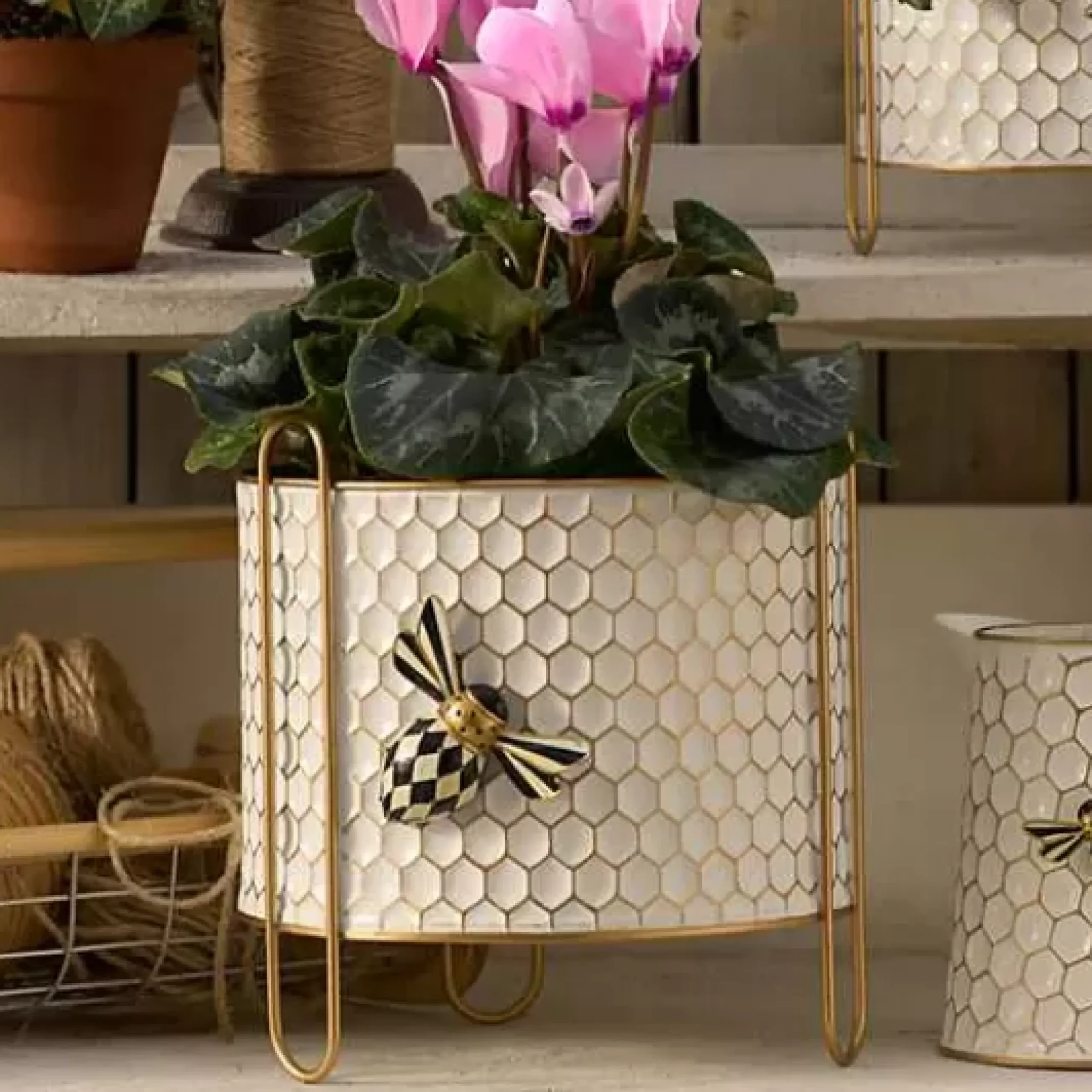 MacKenzie-Childs Honeycomb Large Tin Planter< Spring|Greenery & Florals